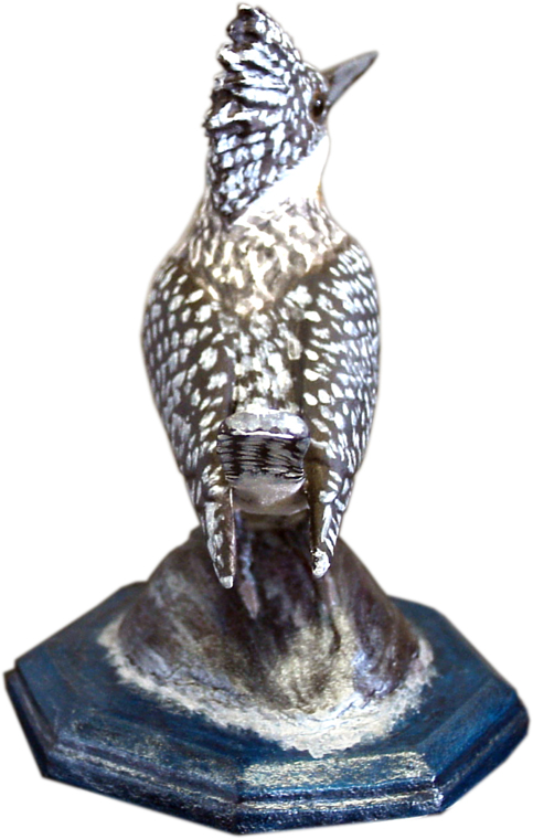 バードカービングやジオラマを木になる粘土で楽しめる 手作り鳥