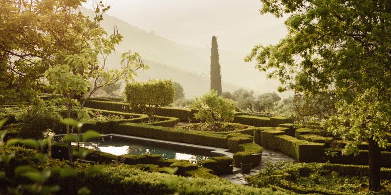 ラモス・ピント RAMOS PINTO | エノテカ - ワイン通販