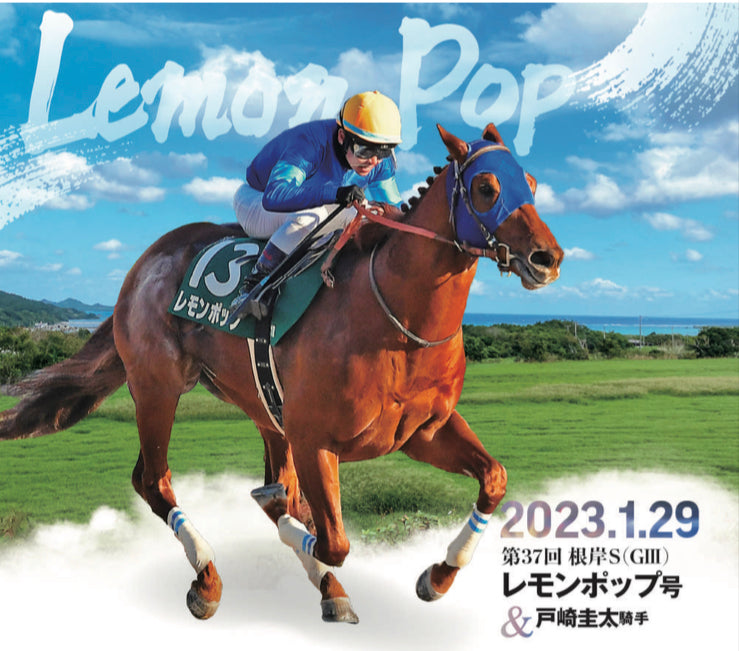 2022年・春＋α GⅠ・Ⅱ・Ⅲセレクション」トレーディングmini色紙1