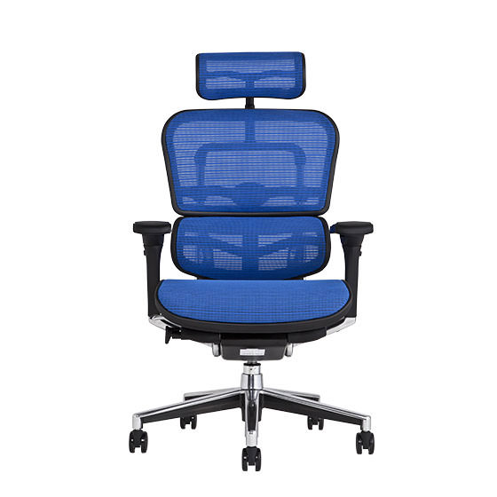 エルゴヒューマン ベーシック / ヘッドレスト有り【メーカー組み立て