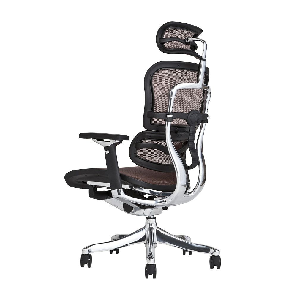 エルゴヒューマン プロ / ヘッドレスト有り【メーカー組み立て完成品