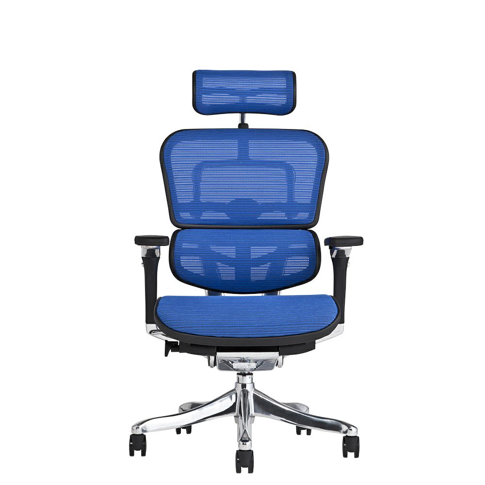 エルゴヒューマン プロ / ヘッドレスト有り【メーカー組み立て完成品