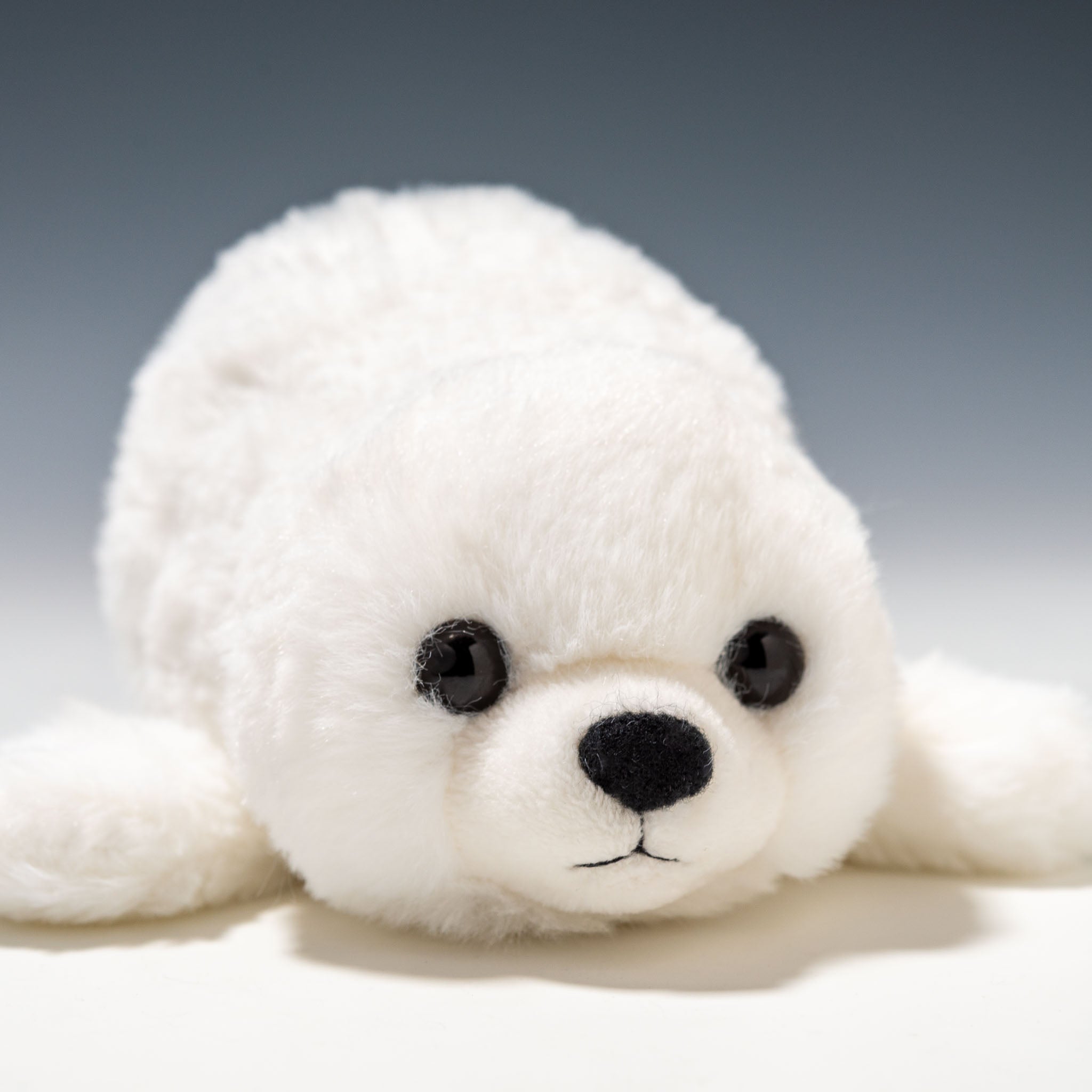 CUTE キュート販売 ぬいぐるみ マリンコレクション ふわふわアザラシ S