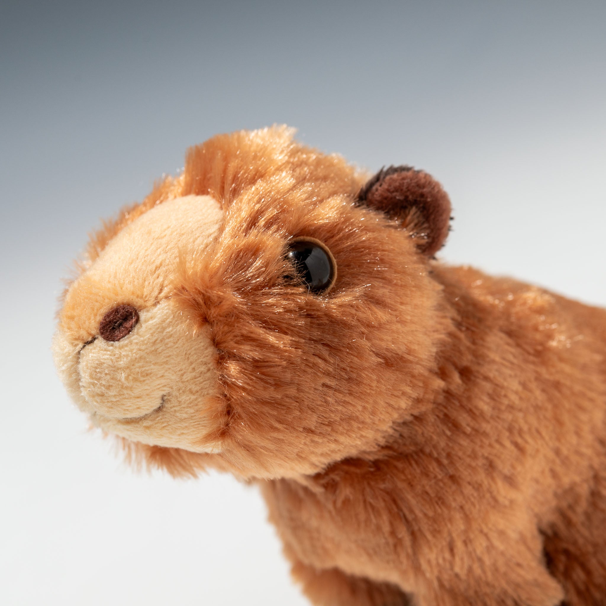 CUTE キュート販売 ぬいぐるみ 動物園コレクション カピバラくん SS