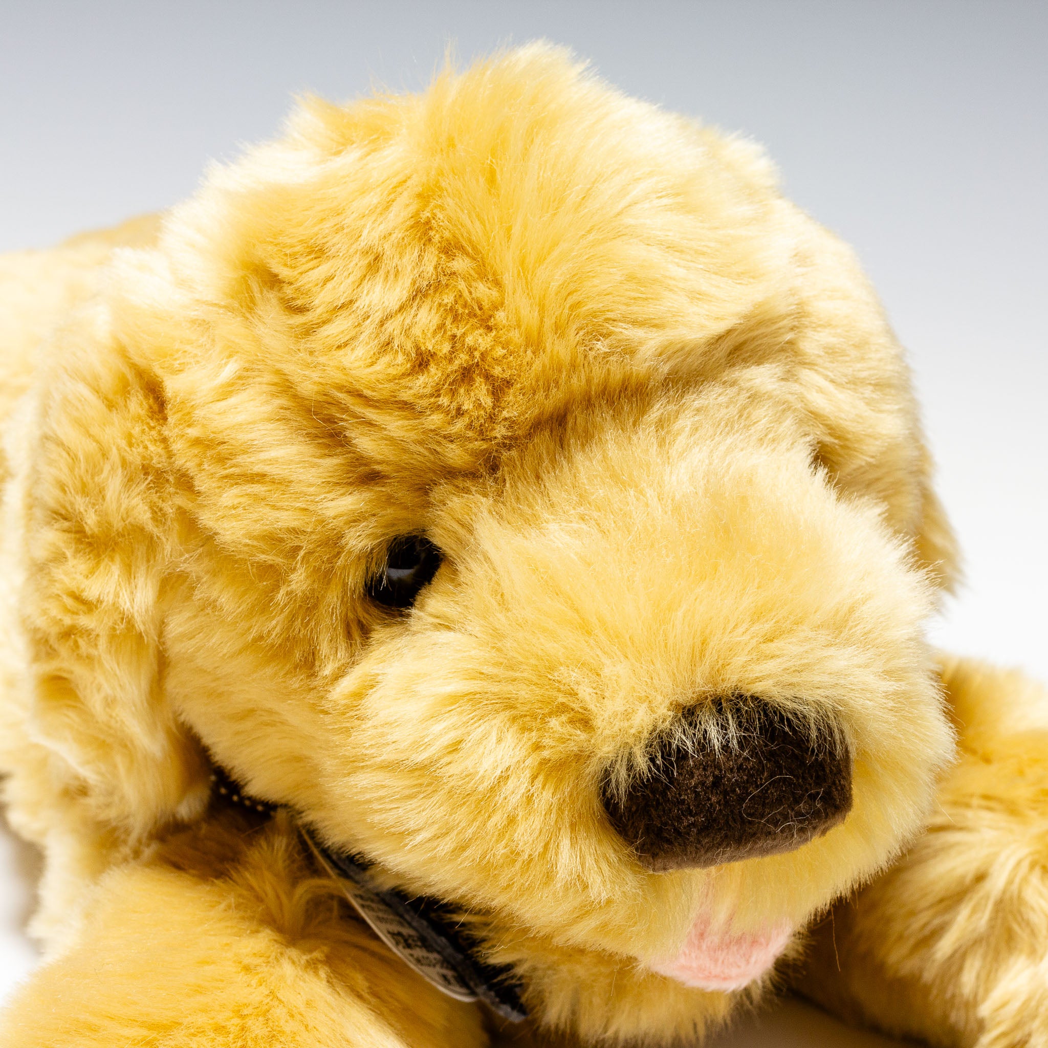 吉徳 ぬいぐるみ ゴールデンレトリバー S 180371- エステルノ・となり