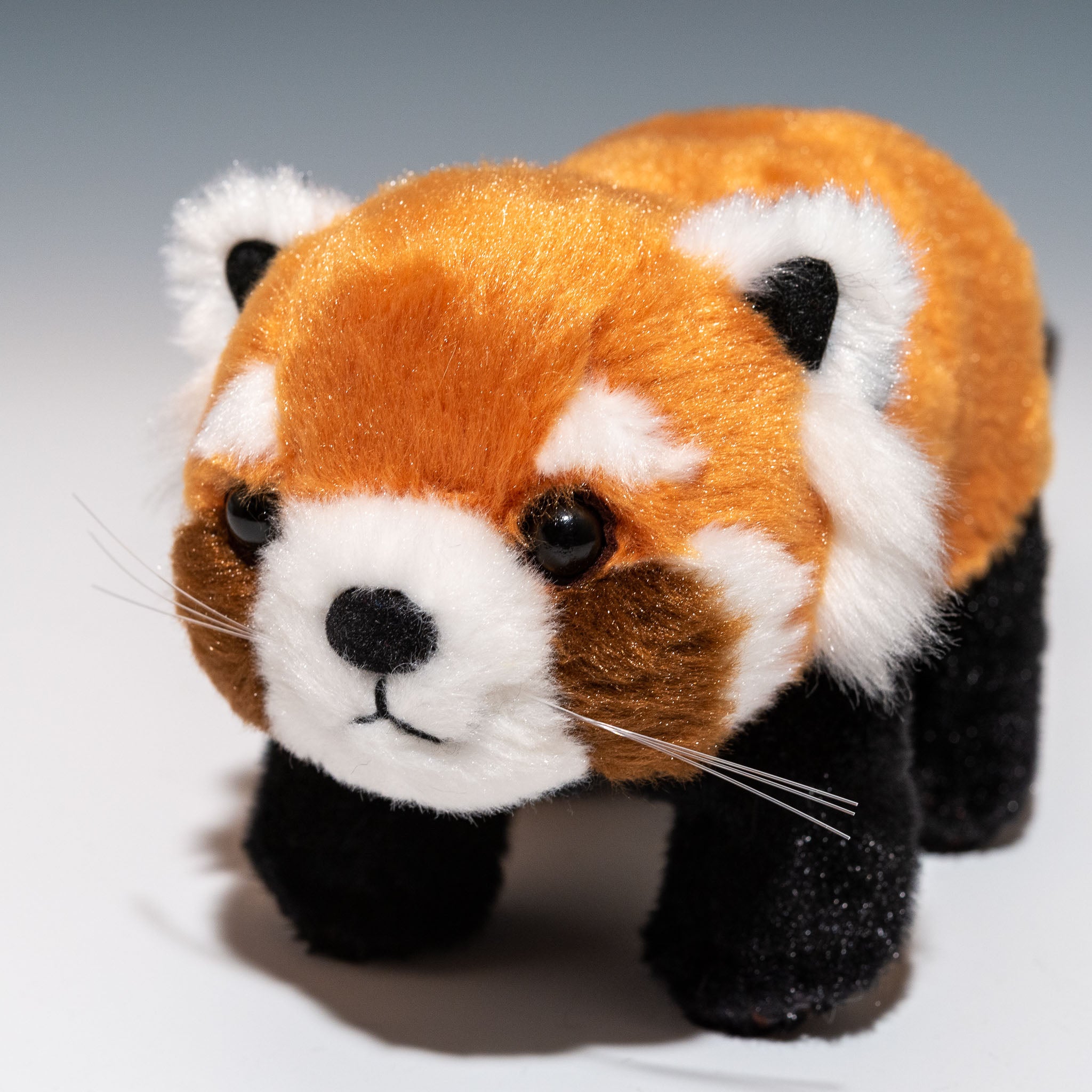 吉徳 ぬいぐるみ りくのなかまたち レッサーパンダ 180521