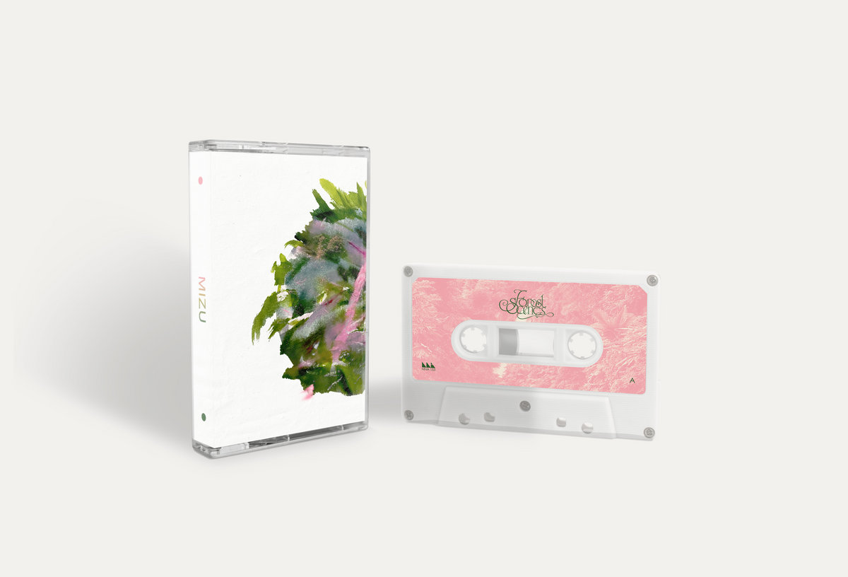 Forest Scenes | MIZU