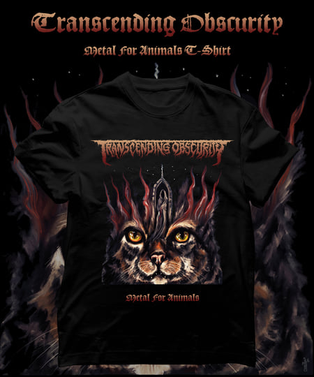 2024 Label Sampler | Transcending Obscurity Records