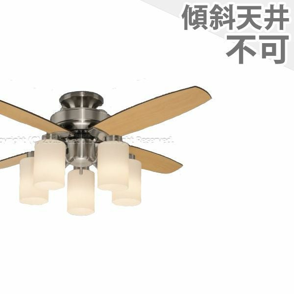 タキズミ製シーリングファンライト【ZDE002】【生産終了品】｜<公式