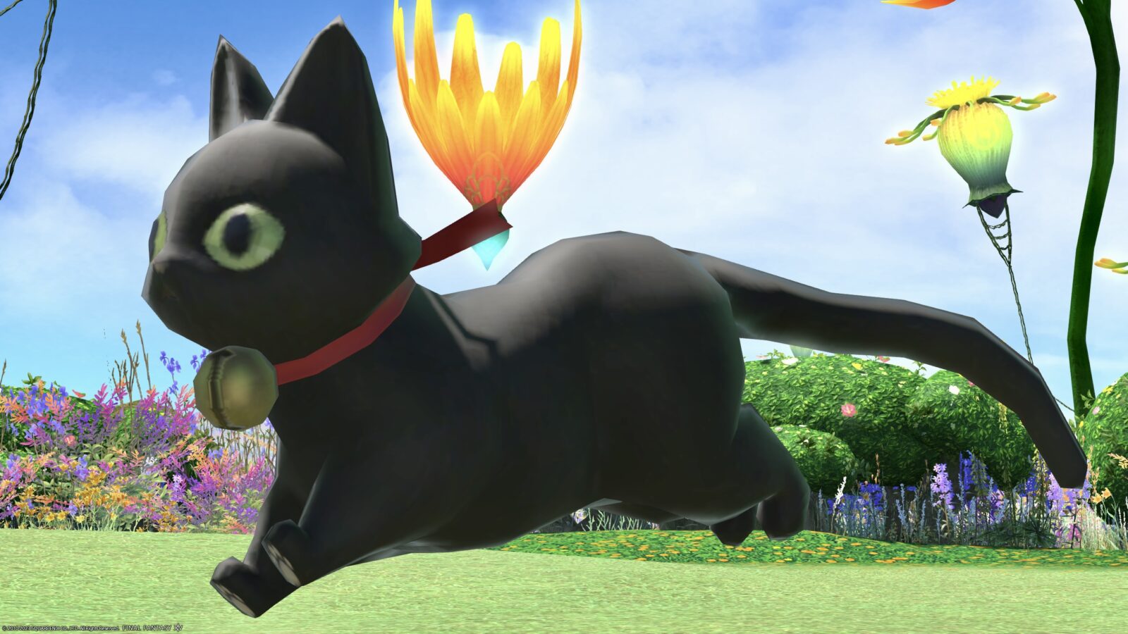 とびきり可愛い黒猫ちゃんのミニオン『ブラッククァール』 | Norirow