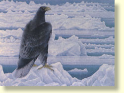 佐藤太清画伯略歴 □ 福知山市 佐藤太清賞公募美術展