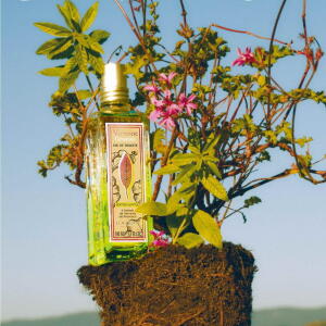 Verveine Geranium L'Occitane en Provence perfume - a new fragrance