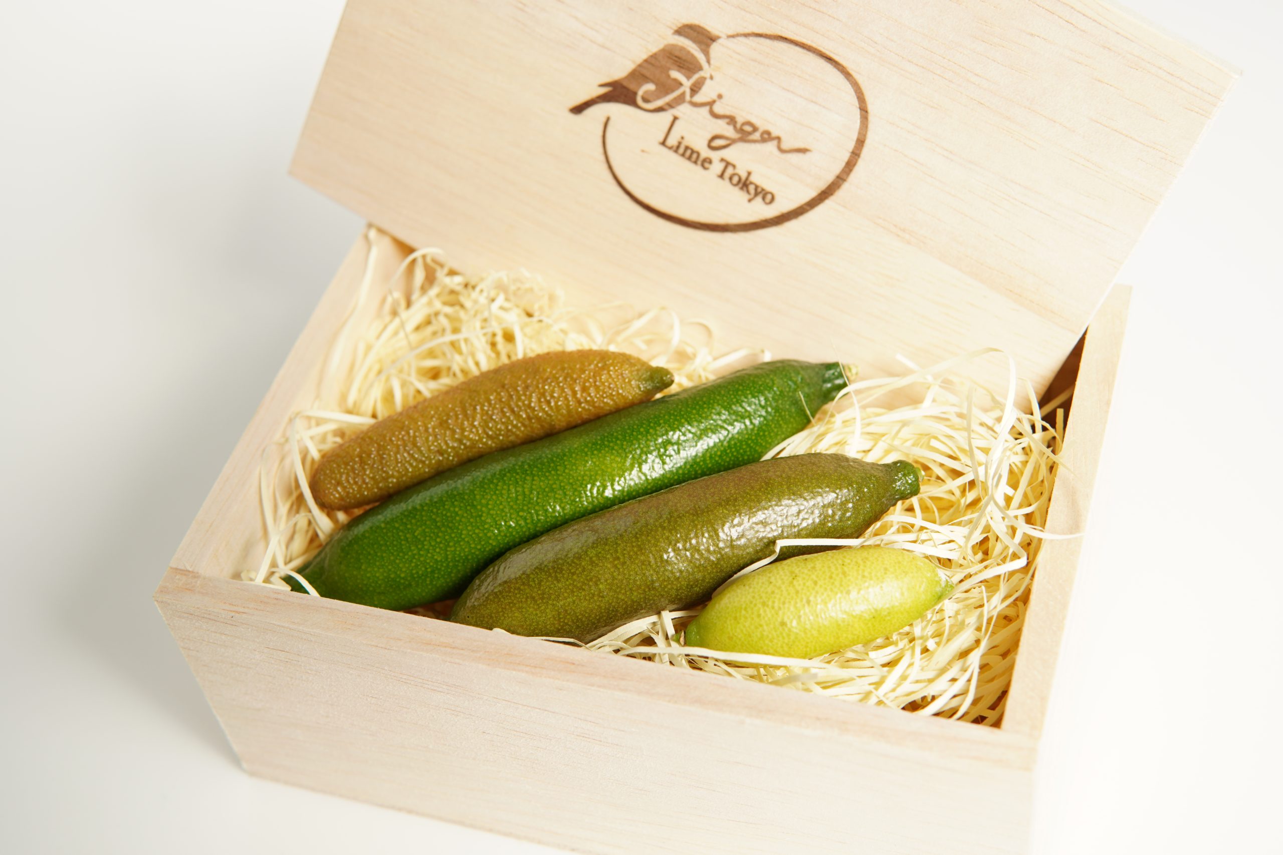 Finger Lime Tokyo プレミアムアソート – Finger Lime Tokyo