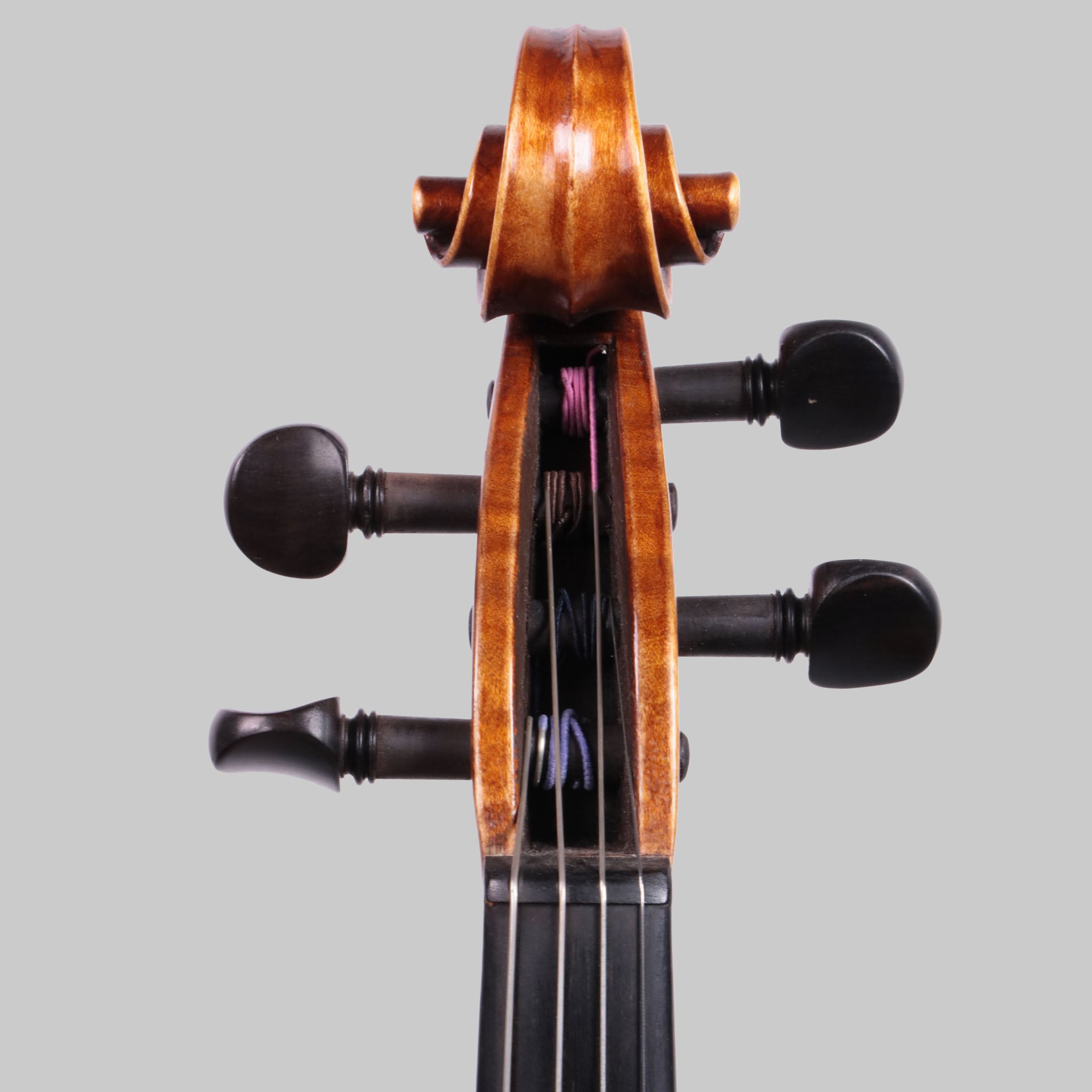 弦楽器 Alexandru Ozon Bucuresti Romania 2017 1_f63bea3a-6048-4d43