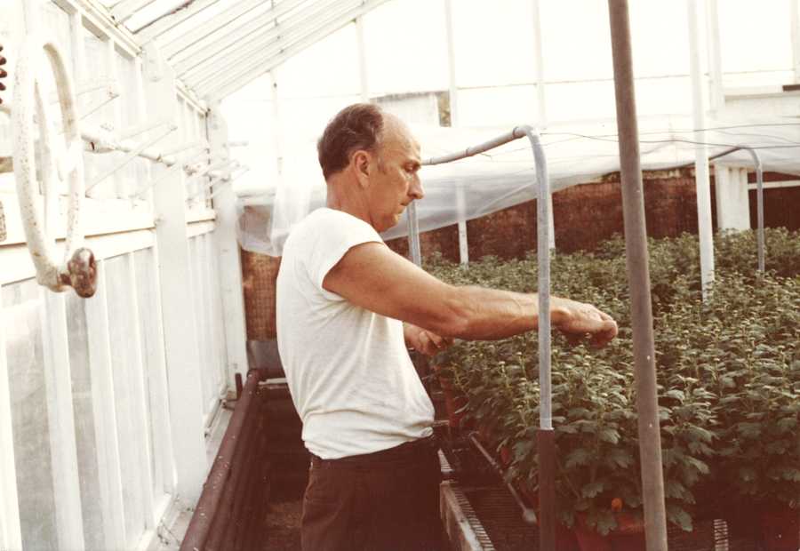 The LSU Fig Collection LSU シリーズ イチジク(Dr. Ed O'Rourke・エド