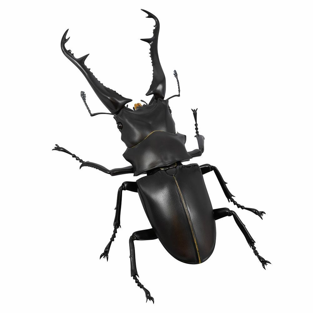 000000000808-01.jpg?size=l&w=