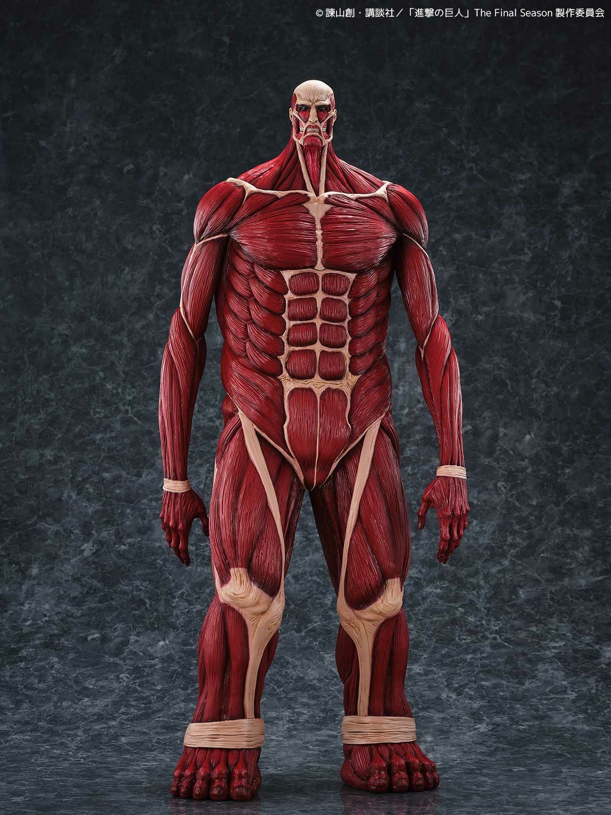 メガソフビ 超大型巨人［予約］［送料無料］ | 海洋堂オンラインストア