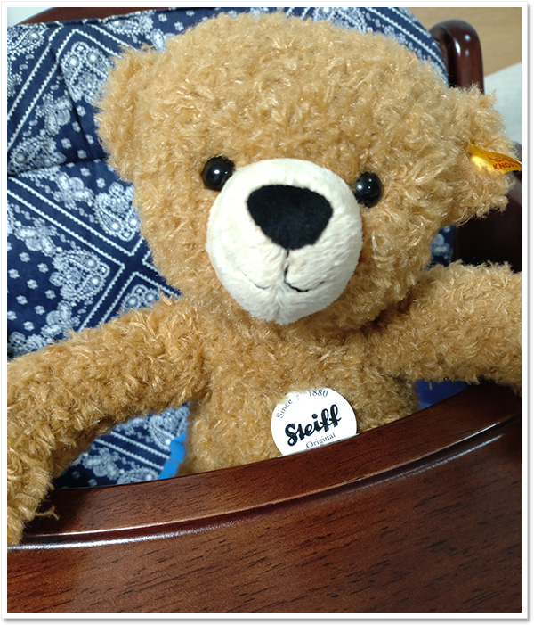 シュタイフ テディベア モーツァルト 16cm EAN674938