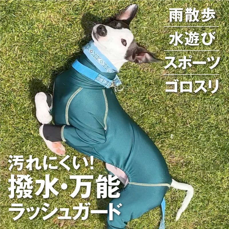 イタグレ用 伸びて 着せやすい ドッグプレイ(R) サークル プリント 撥