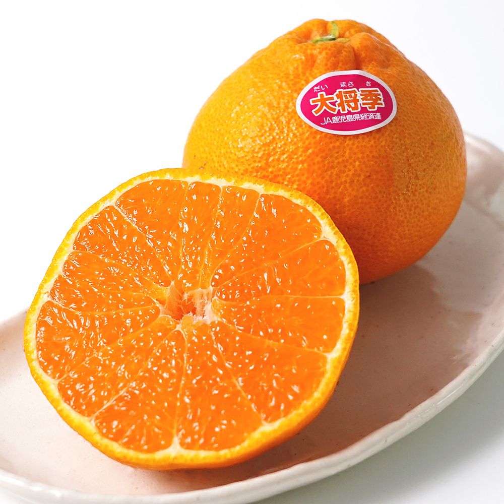 桜島小みかん・大将季・ぽんかん 詰合せセットのギフト通販・お