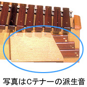 こおろぎ社 木琴・卓上木琴（シロボックスホーン アルト）・楽器販売