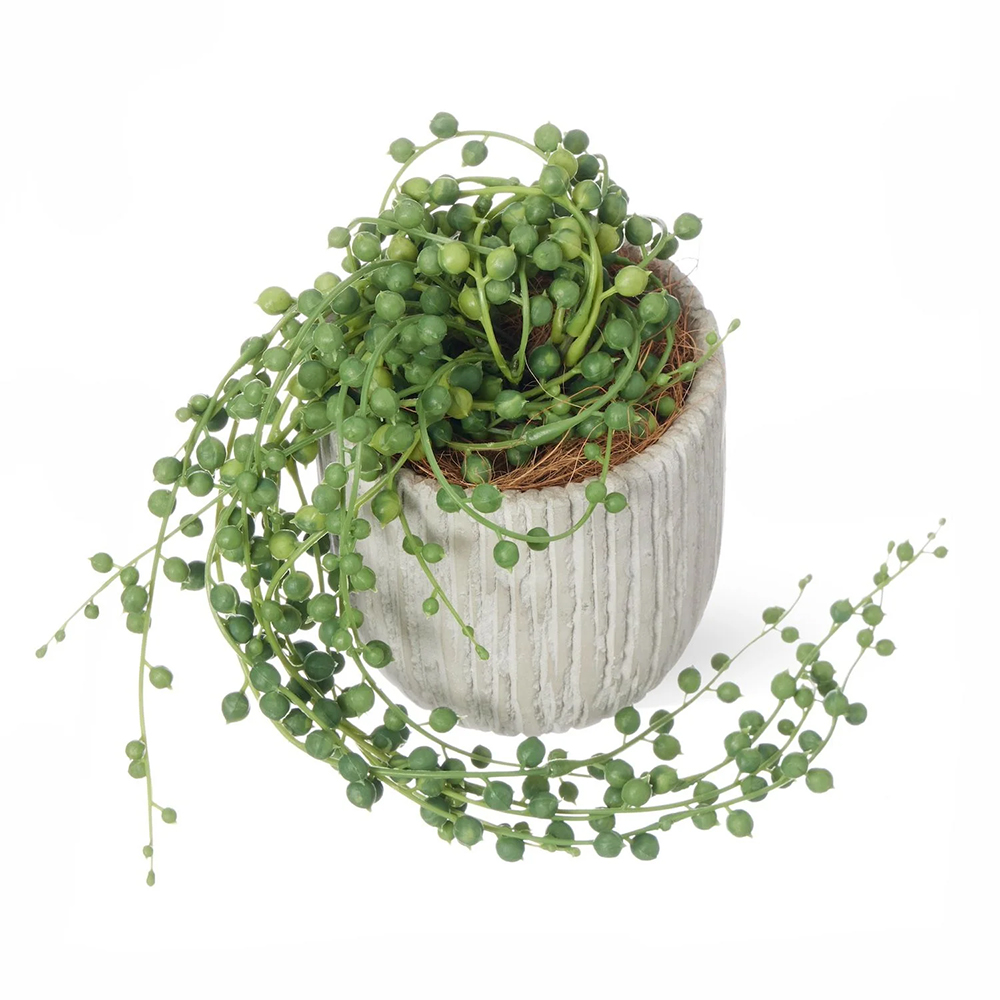 グリーンネックレス オベリスポットS ミニフェイクグリーン 鉢植え