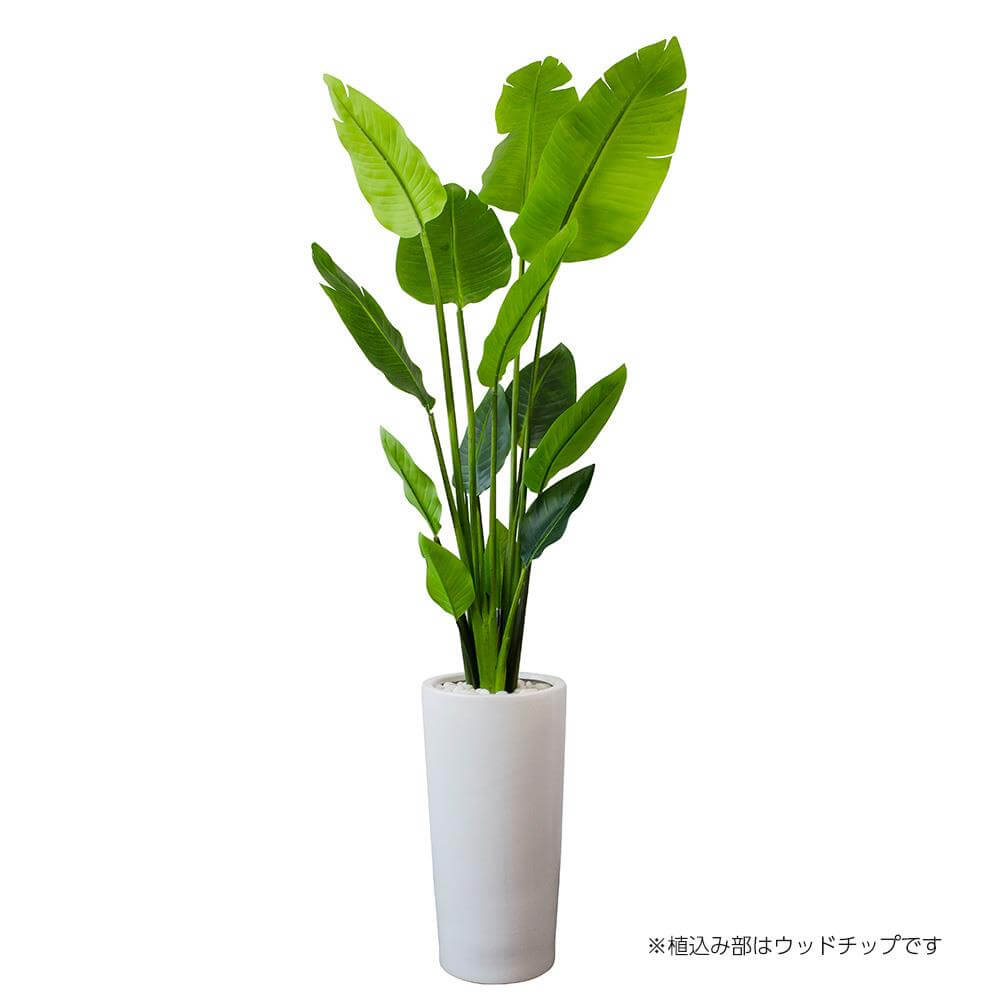ストレチア 高さ170cm (フェイクグリーン 人工観葉植物 大型