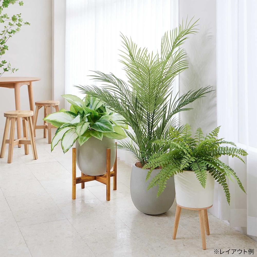 ディフェンバキア エッグポット ウッドスタンド付 高さ74cm フェイク