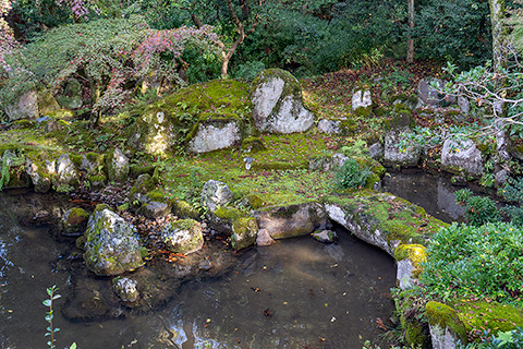 人が少なく、米原・彦根・多賀の落ち着ける庭園スポット | 庭園ガイド