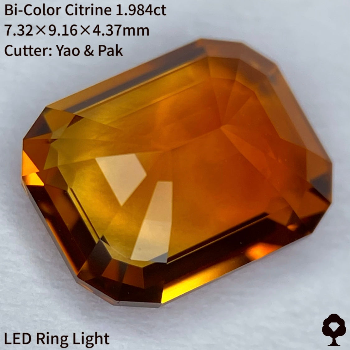 夕焼けを思わせる珍しいシトリンとマディラシトリンのバイカラー