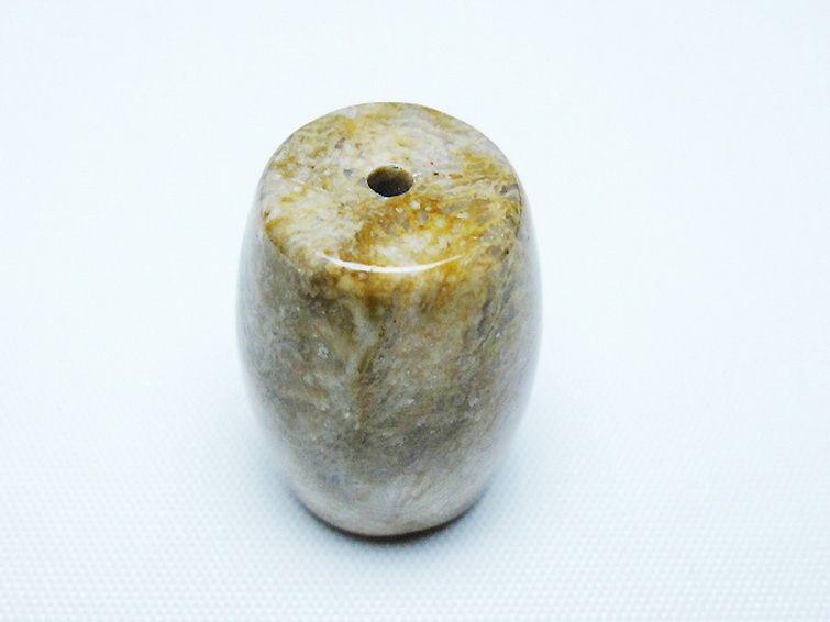 パワーストーン 天然石 フォッシルコーラル 天珠 化石珊瑚[T155-2302]