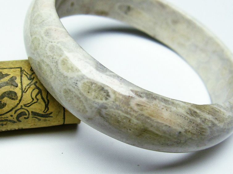 フォッシルコーラル バングル 化石珊瑚60mm[T23-2289]