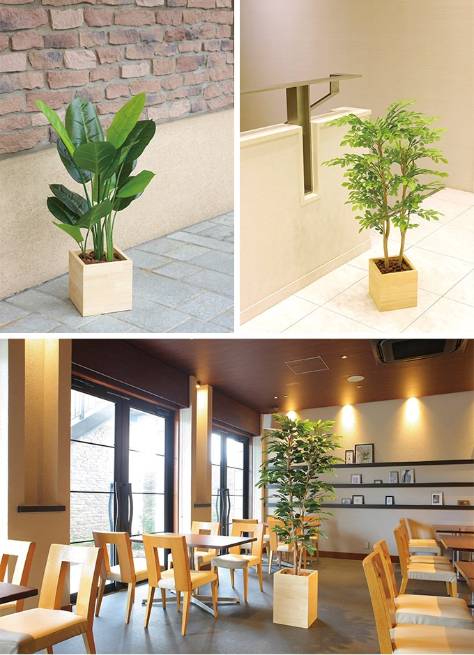 フェイクグリーン 鉢植え 大型 ウッドボックス ウンベラータ 1.8m