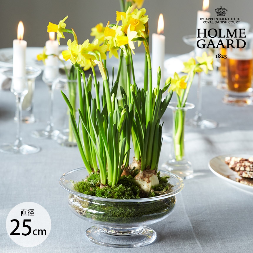 ガラス花瓶 水耕栽培 ホルムガード Old English フラワーボウル 直径