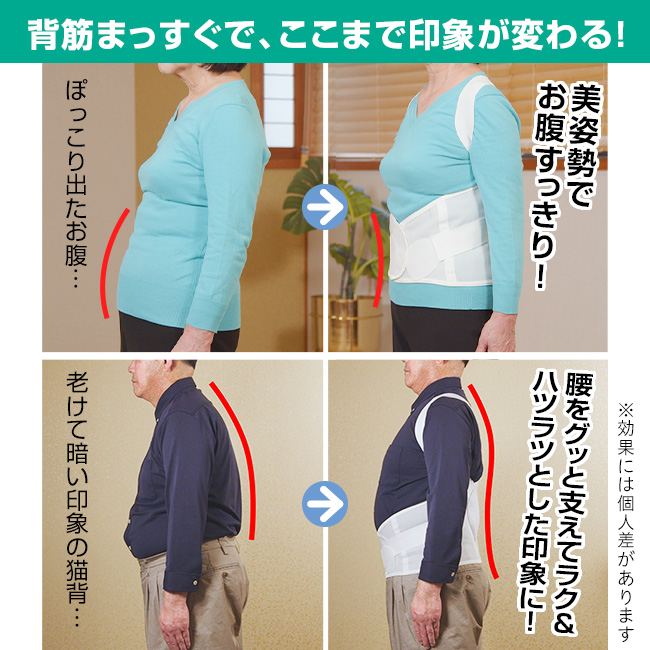 NEW背筋補正ベルト 2点セット S～LとLL～3Lから選べる 【通常