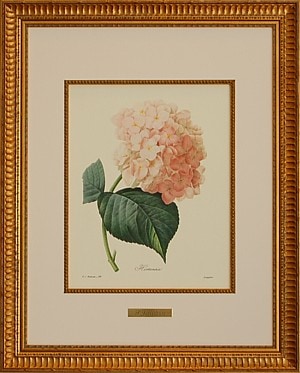 紫陽花（アジサイ,あじさい）の絵,絵画を販売 ルドゥーテ