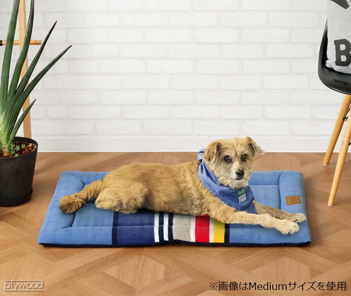 ペンドルトン コンフォートクッション Mediumサイズ PENDLETON Comfort