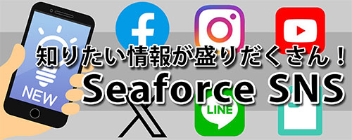 ROMANOFF ワックスポットmini | ワックス・鋳造,ワックス鋳造,ワックス