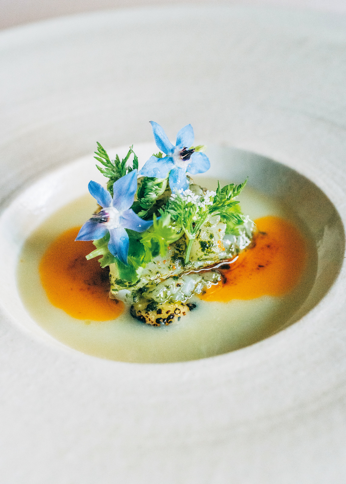 奈良の自然を体感できる、薪火料理の美食宿「VILLA COMMUNICO」が