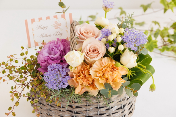 お花&苗のバスケットアレンジメントM：gracia（グラシア）季節の花で