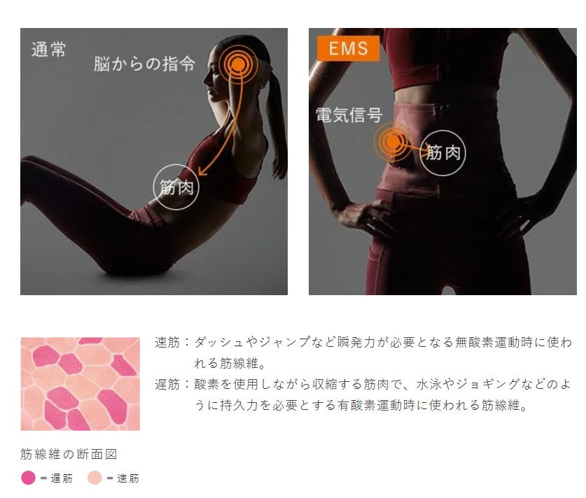 月額3,980円レンタルプラン：MTG SIXPAD シックスパッド パワースーツ