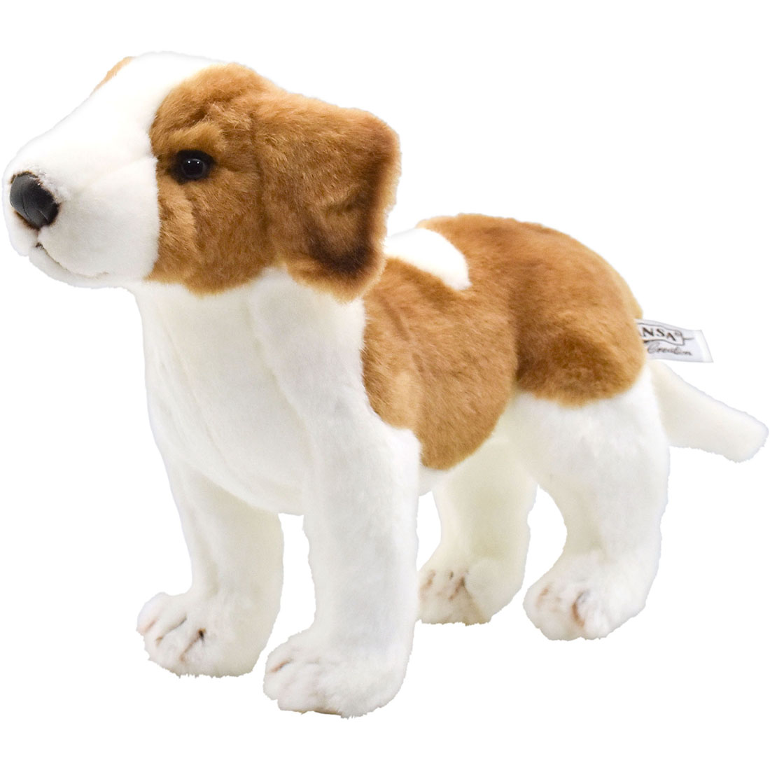 セントバーナード(仔) 34 | HANSA