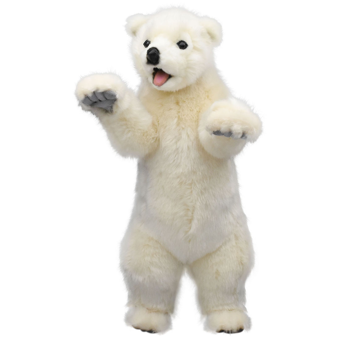 ホッキョクグマ(仔) 46 | HANSA