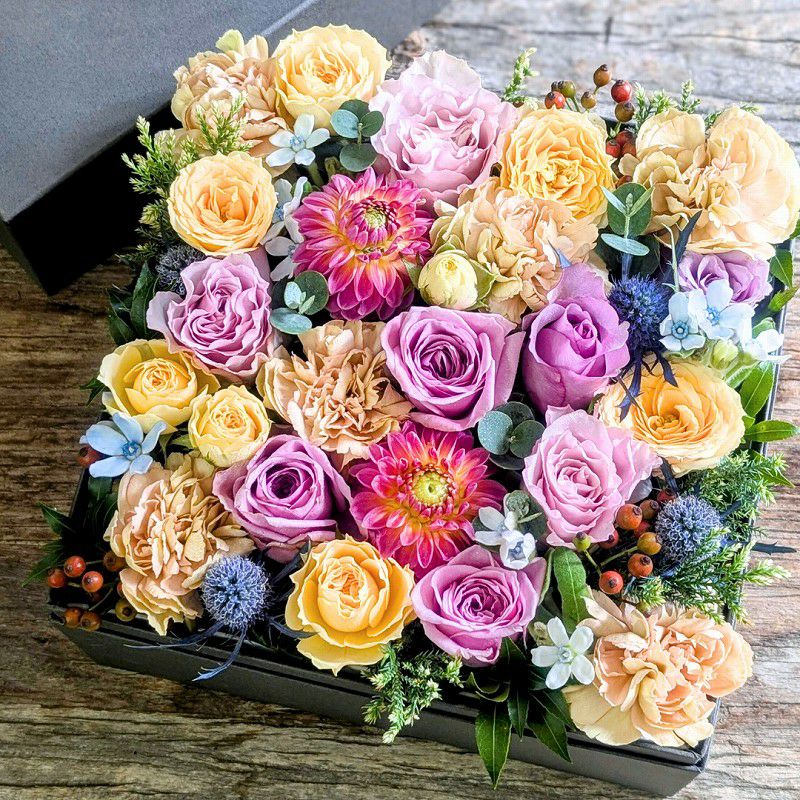 000000002381-01-m.jpg?t=