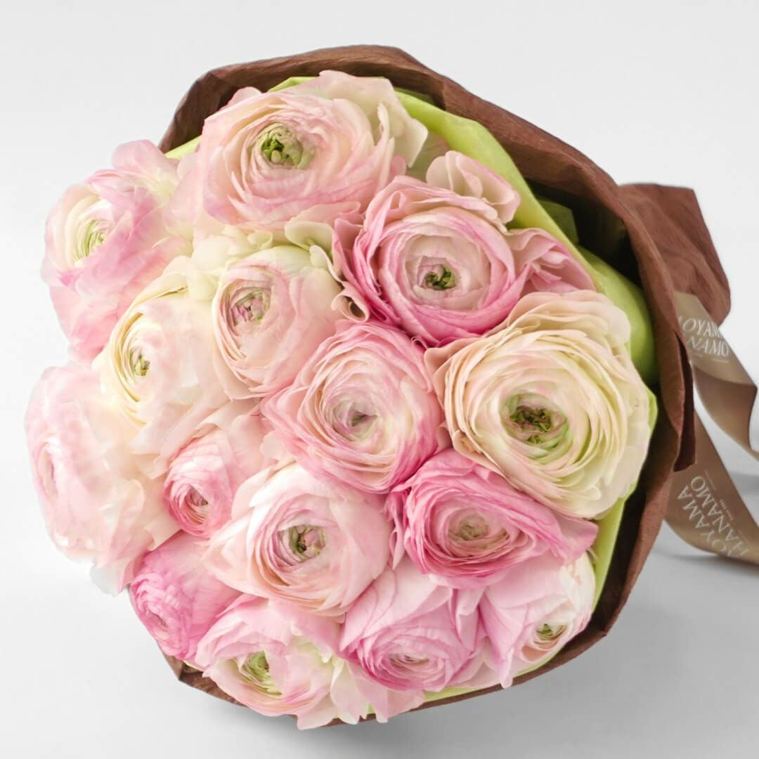 000000003576-01.jpg?size=m&w=