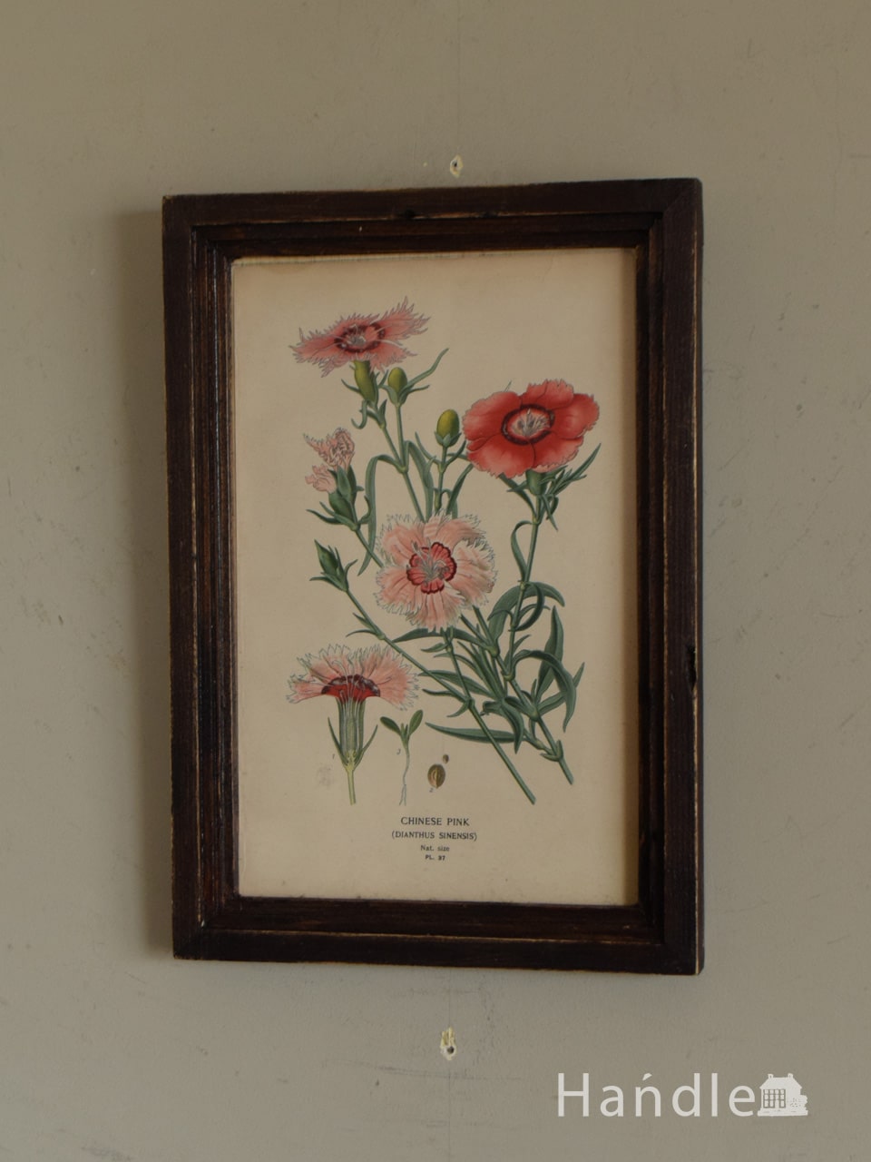 イギリスで見つけたアンティークフレーム、ボタニカルアート（CHINESE