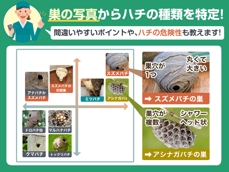 蜂の巣の種類の見分け方｜巣の形・大きさ・色別に解説