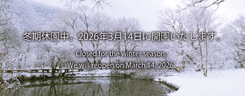 箱根湿生花園【公式】SHISSEIKAEN