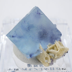 フローライト – タグ 