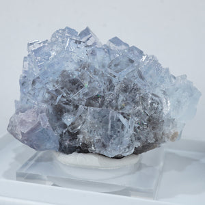 スペイン La Viesca Mine産 フローライト – 天然石ハッピーギフト